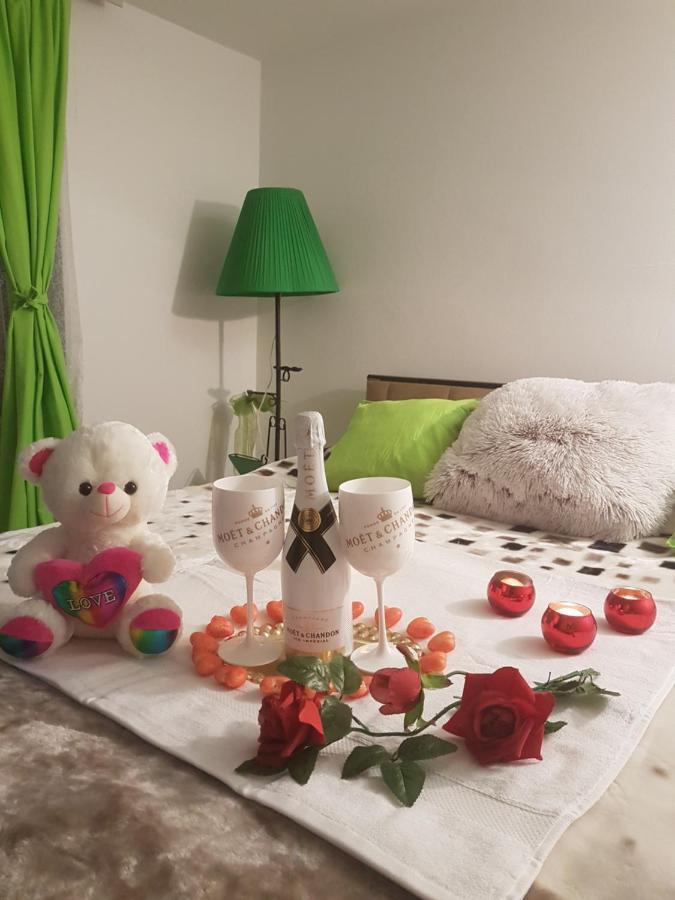 Apartmani, Sobe Ziza Bezdan المظهر الخارجي الصورة