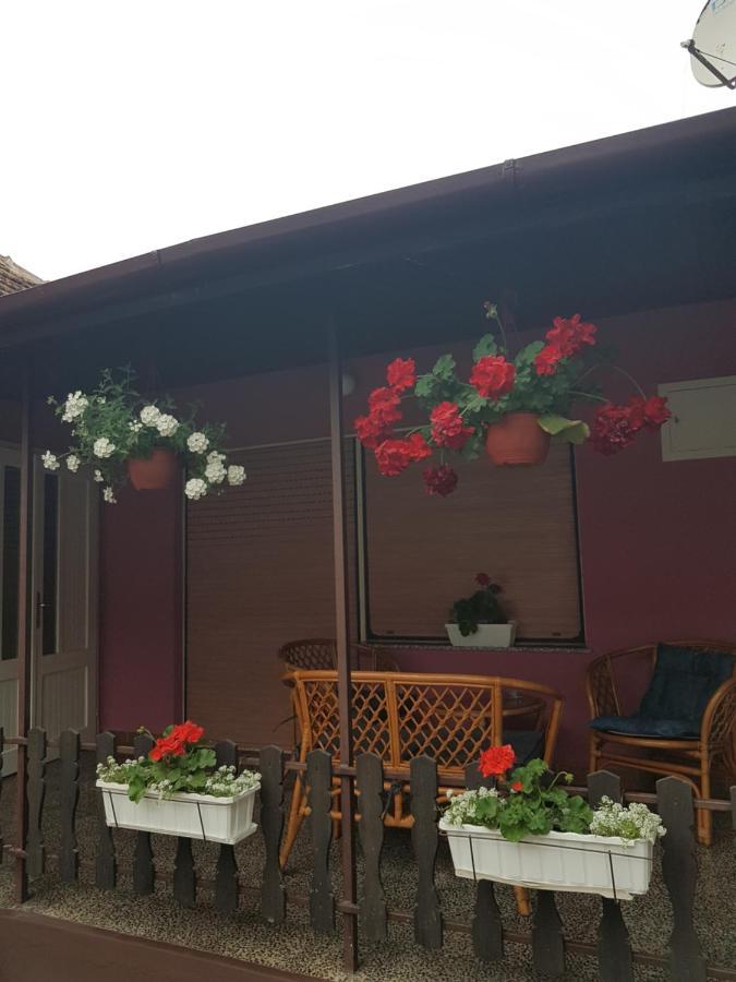 Apartmani, Sobe Ziza Bezdan المظهر الخارجي الصورة